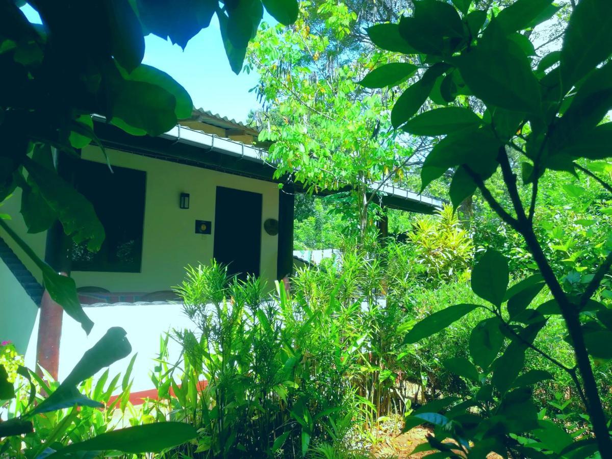 Lakmal Homestay ,10 Minutes To Sigiriya Rock المظهر الخارجي الصورة