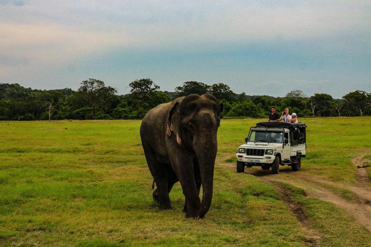 Lakmal Homestay ,10 Minutes To Sigiriya Rock المظهر الخارجي الصورة