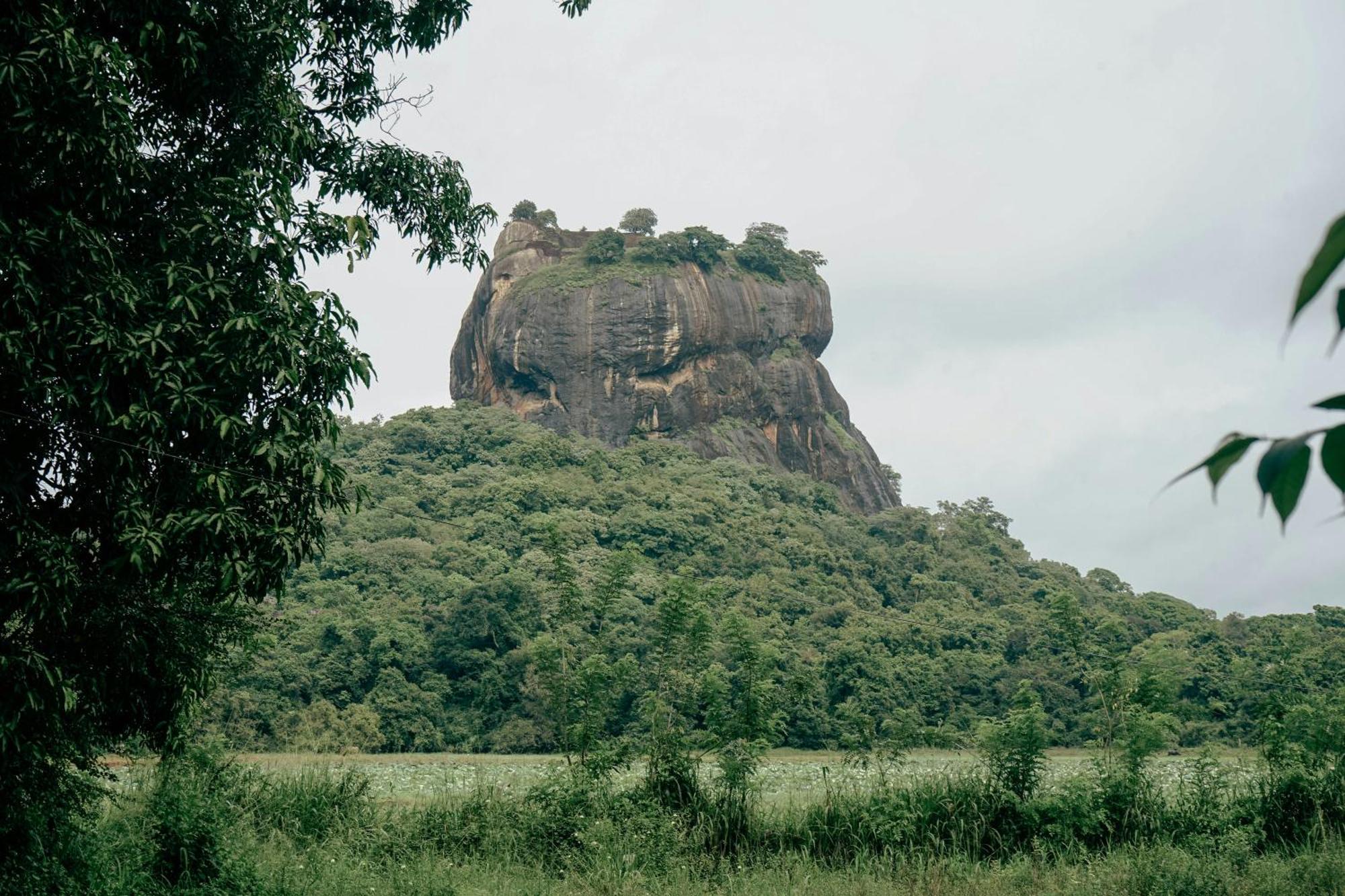 Lakmal Homestay ,10 Minutes To Sigiriya Rock المظهر الخارجي الصورة