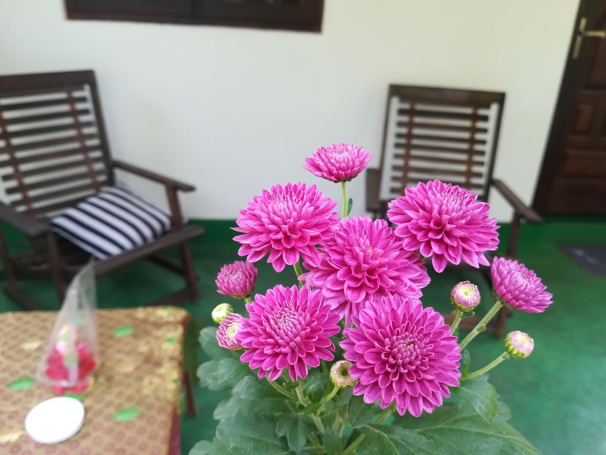 Lakmal Homestay ,10 Minutes To Sigiriya Rock المظهر الخارجي الصورة